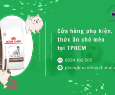 Cửa hàng phụ kiện, thức ăn chó mèo tại TPHCM | Phòng khám Thú ý Chợ Lớn