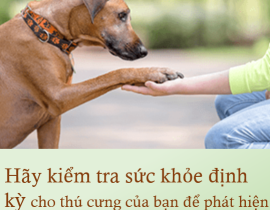 KHÁM TẦM SOÁT BỆNH