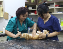 KHÁM THEO YÊU CẦU (ĐẶT LỊCH HẸN)