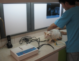 ĐIỆN TIM ĐỒ ( ECG )
