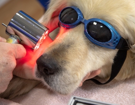 LASER ĐIỀU TRỊ