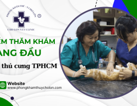 Phòng Khám Thú Y Chợ Lớn – Điểm thăm khám hàng đầu cho thú cưng tại TP.HCM