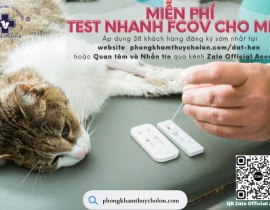 CHƯƠNG TRÌNH MIỄN PHÍ TEST NHANH FCOV (CORONA VIRUS) TRÊN MÈO