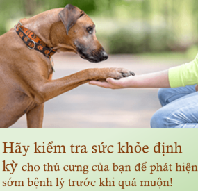 KHÁM TẦM SOÁT BỆNH