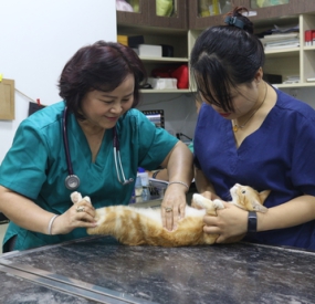 KHÁM THEO YÊU CẦU (ĐẶT LỊCH HẸN)