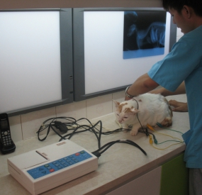 ĐIỆN TIM ĐỒ ( ECG )