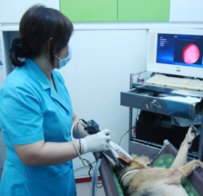 CHẨN ĐOÁN HÌNH ẢNH