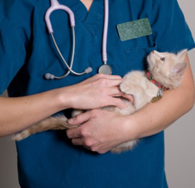 CHẨN ĐOÁN TẾ BÀO HỌC