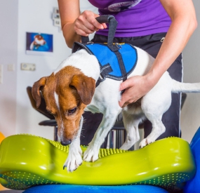 VẬT LÝ TRỊ LIỆU