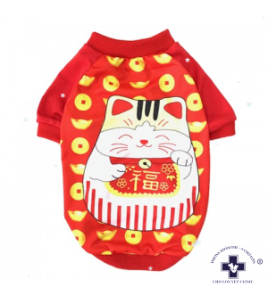  Áo mèo thần tài 3D