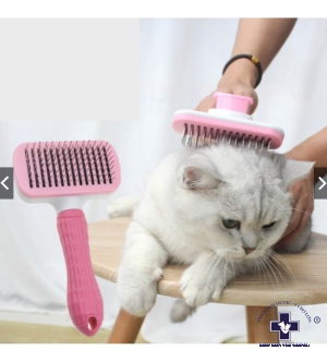 Lượt chải lông chó mèo - massage