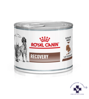 Pate hỗ trợ Phục Hồi Bệnh Cho Chó Mèo - Pate Royal Canin Recovery 195g