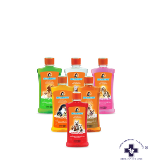 SỮA TẮM BEARING CHO CHÓ LOẠI BỎ VE RẬN, BỌ CHÉT - 300mL