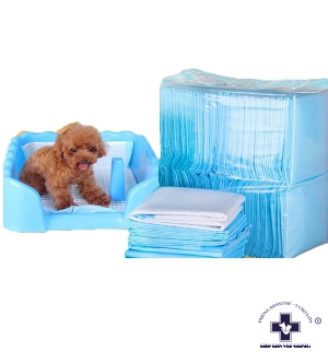 Thảm lót vệ sinh