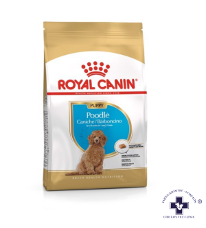 THỨC ĂN KHÔ DÀNH CHO CHÓ CON POODLE - Royal Canin Poodle Junior 500gr
