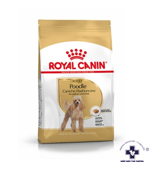 THỨC ĂN KHÔ DÀNH CHO CHÓ POODLE TRƯỞNG THÀNH- Royal Canin Poodle Adult 500gr