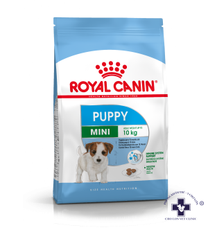 THỨC ĂN KHÔ MINI DÀNH CHO CHÓ CON NHỎ VÓC - Royal Canin Mini Puppy 800gr